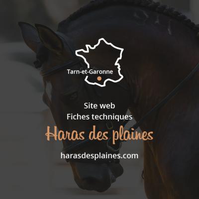 Site internet et fiche technique pour le Haras des Plaines en Tarn-et-Garonne