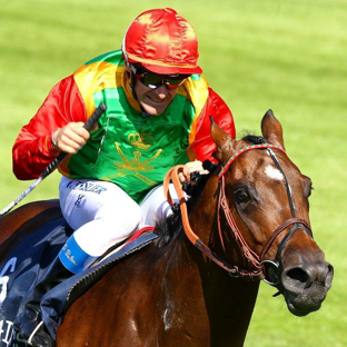 Création du site internet de l'Ecurie Gourdain à Pau