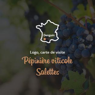Logo, carte de visite pour la pépinière viticole Salettes à Denguin (64)