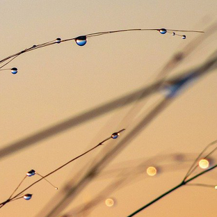 Site internet pour Pascale Baradat, réflexologue à Dax