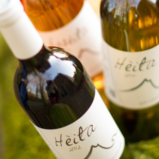 Logo, étiquette, carte, flyer, rollup, bâche pour le Domaine de Moncaut à Denguin (64)